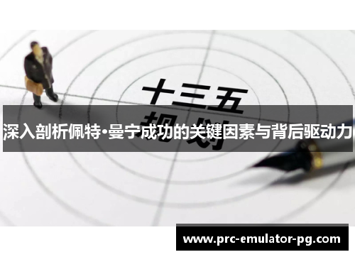 深入剖析佩特·曼宁成功的关键因素与背后驱动力