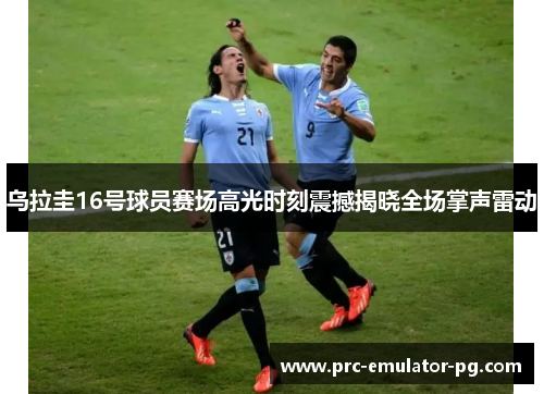 乌拉圭16号球员赛场高光时刻震撼揭晓全场掌声雷动