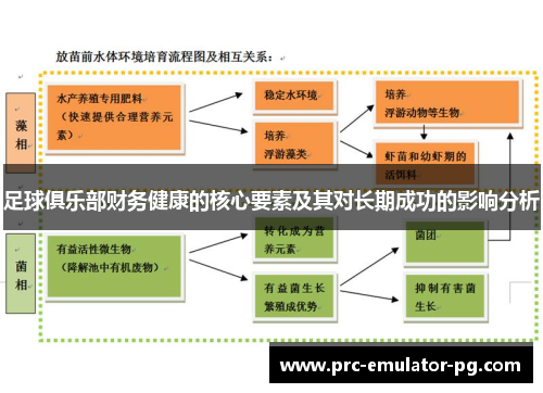 足球俱乐部财务健康的核心要素及其对长期成功的影响分析
