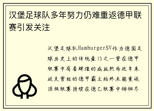 汉堡足球队多年努力仍难重返德甲联赛引发关注